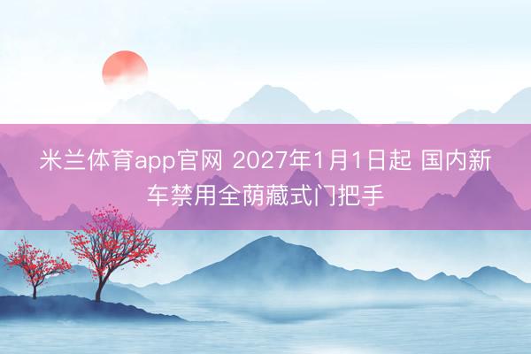 米兰体育app官网 2027年1月1日起 国内新车禁用全荫藏式门把手