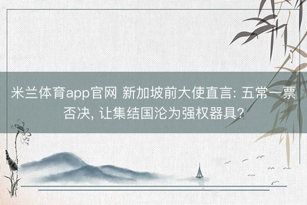 米兰体育app官网 新加坡前大使直言: 五常一票否决, 让集结国沦为强权器具?