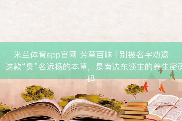 米兰体育app官网 芳草百味 | 别被名字劝退！这款“臭”名远扬的本草，是南边东谈主的养生密码