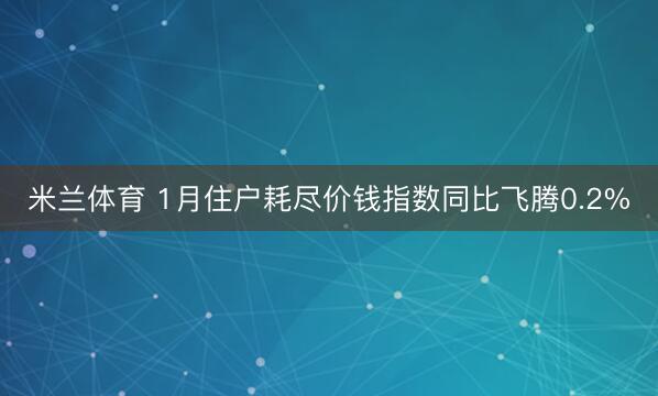 米兰体育 1月住户耗尽价钱指数同比飞腾0.2%