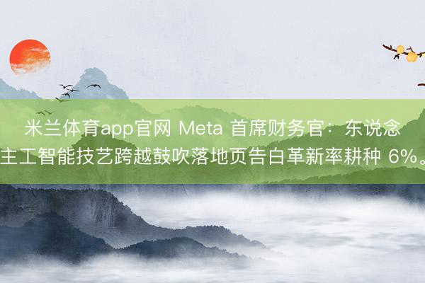 米兰体育app官网 Meta 首席财务官：东说念主工智能技艺跨越鼓吹落地页告白革新率耕种 6%。