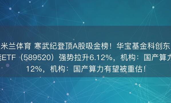 米兰体育 寒武纪登顶A股吸金榜！华宝基金科创东说念主工智能ETF（589520）强势拉升6.12%，机构：国产算力有望被重估！