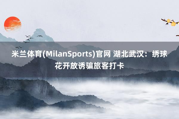 米兰体育(MilanSports)官网 湖北武汉：绣球花开放诱骗旅客打卡