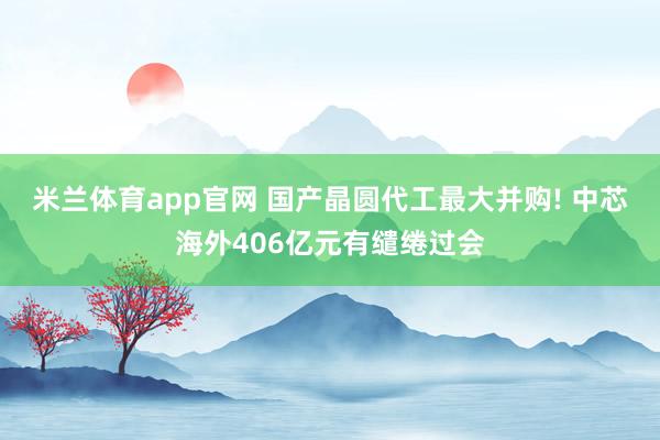 米兰体育app官网 国产晶圆代工最大并购! 中芯海外406亿元有缱绻过会