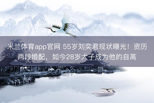 米兰体育app官网 55岁刘奕君现状曝光！资历两段婚配，如今28岁犬子成为他的自高
