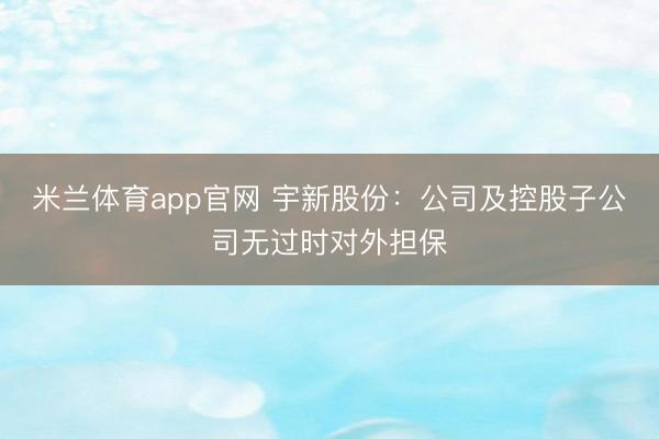米兰体育app官网 宇新股份：公司及控股子公司无过时对外担保