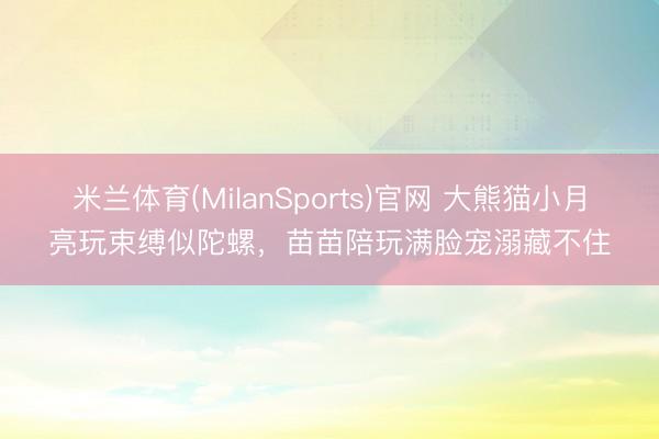 米兰体育(MilanSports)官网 大熊猫小月亮玩束缚似陀螺，苗苗陪玩满脸宠溺藏不住
