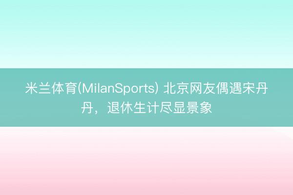 米兰体育(MilanSports) 北京网友偶遇宋丹丹，退休生计尽显景象