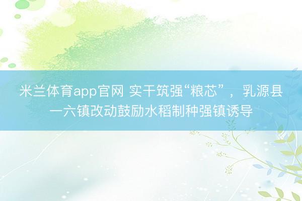 米兰体育app官网 实干筑强“粮芯” ，乳源县一六镇改动鼓励水稻制种强镇诱导