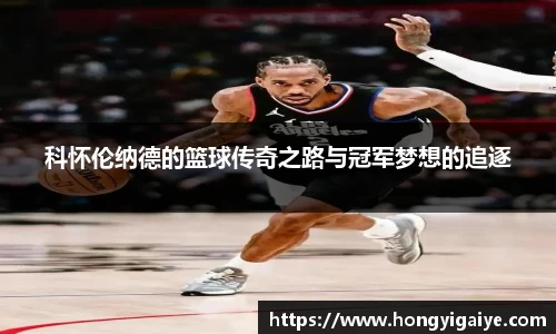 中欧体育