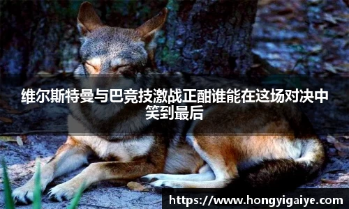 维尔斯特曼与巴竞技激战正酣谁能在这场对决中笑到最后