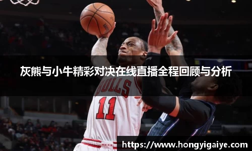 灰熊与小牛精彩对决在线直播全程回顾与分析