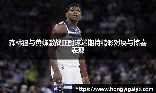 森林狼与黄蜂激战正酣球迷期待精彩对决与惊喜表现