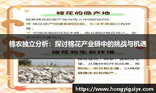 棉农独立分析：探讨棉花产业链中的挑战与机遇